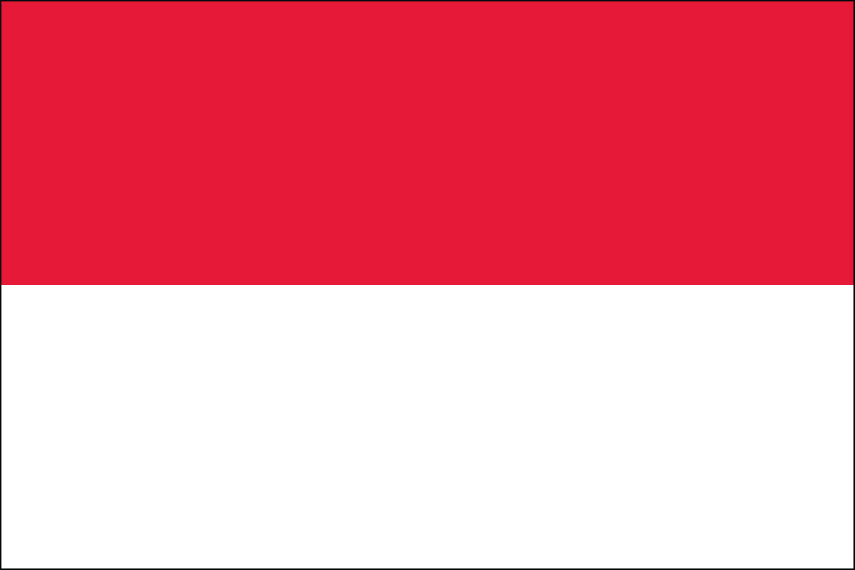 2x3' Poly flag of Indonesia