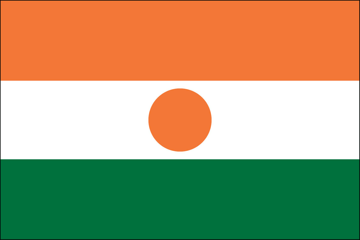 12x18" poly flag on a stick of Niger