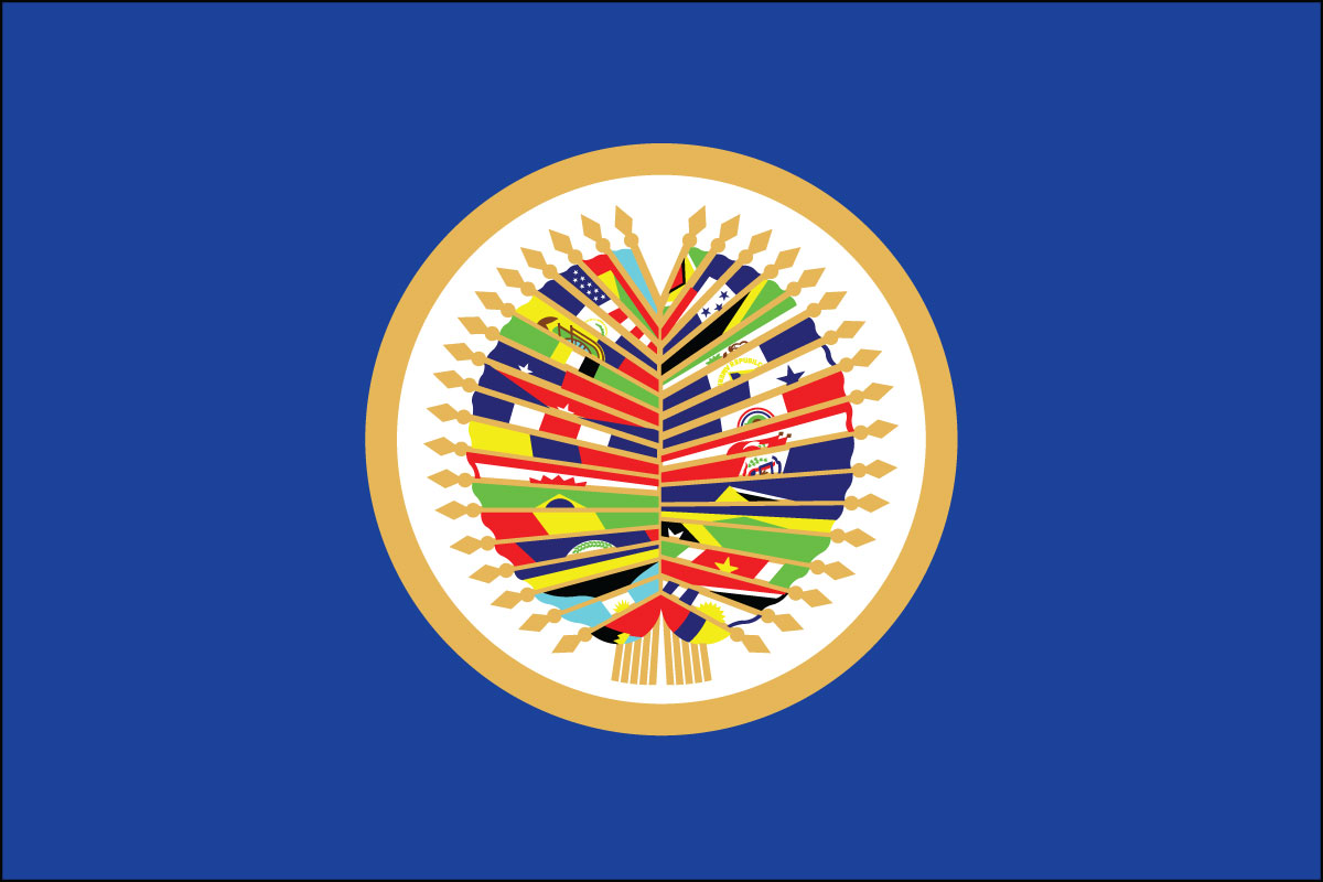 12x18" poly flag on a stick of Organization of American States