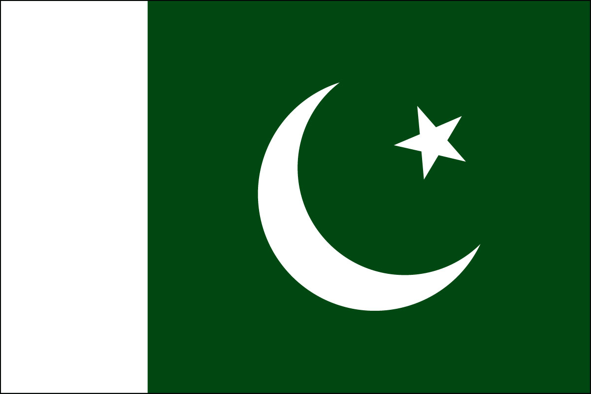 12x18" poly flag on a stick of Pakistan