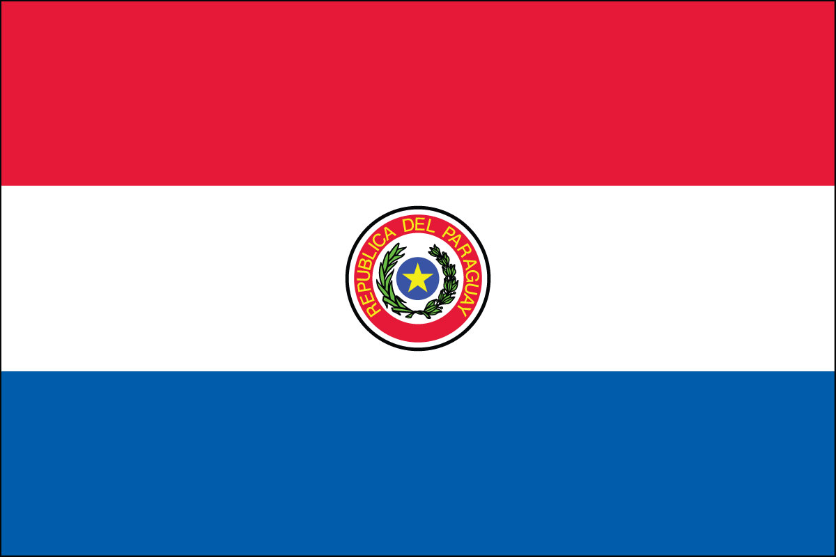 12x18" poly flag on a stick of Paraguay
