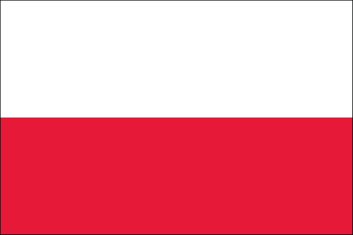 12x18" poly flag on a stick of Poland