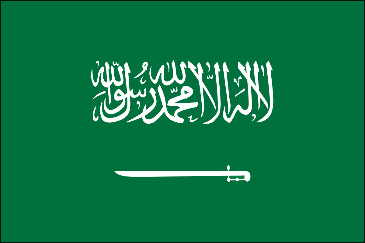 12x18" poly flag on a stick of Saudi Arabia