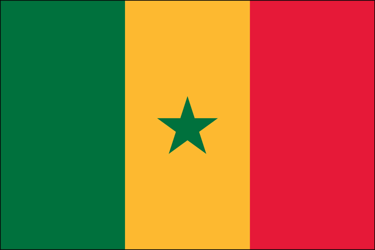 12x18" poly flag on a stick of Senegal