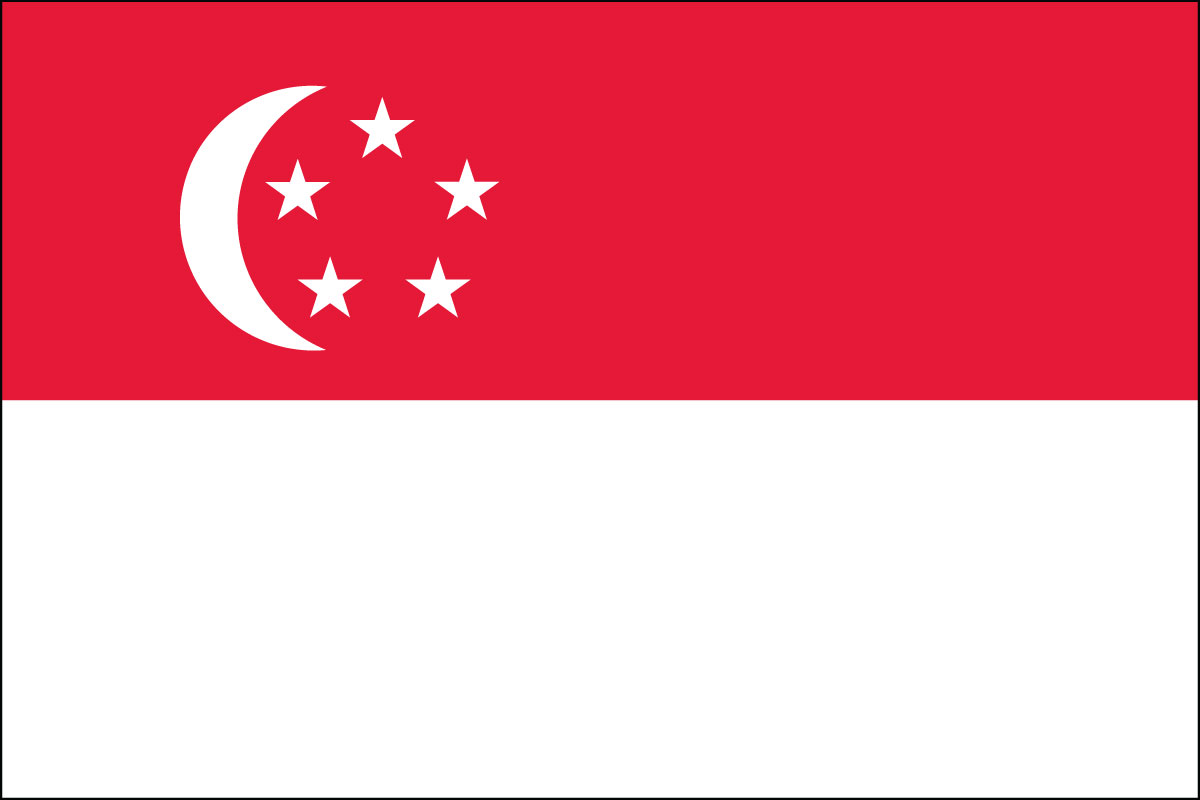 12x18" poly flag on a stick of Singapore