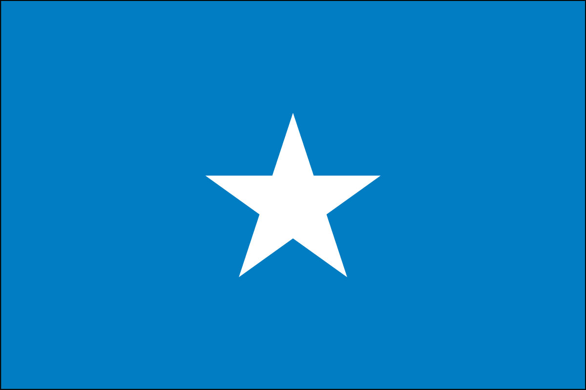 12x18" poly flag on a stick of Somalia