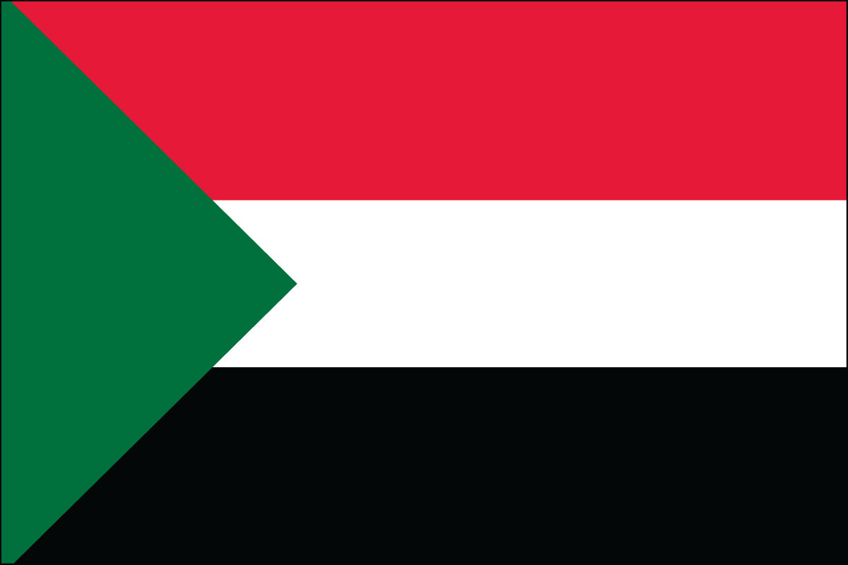 12x18" poly flag on a stick of Sudan
