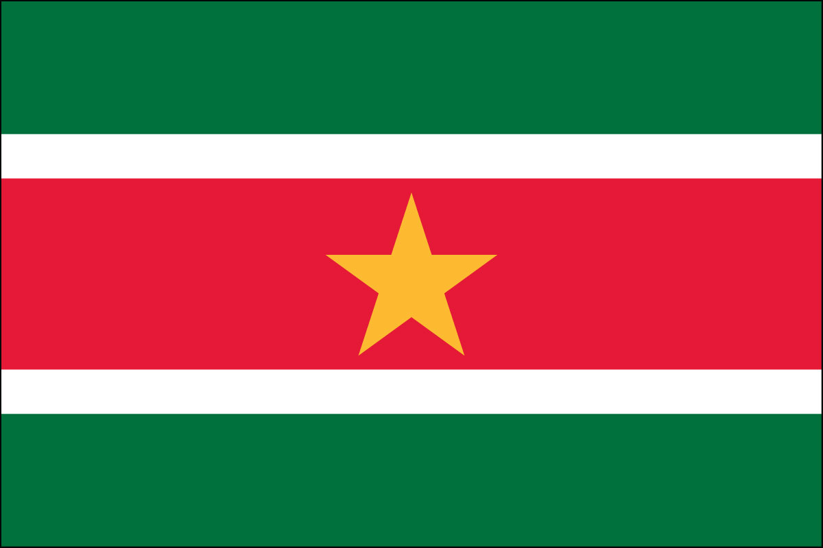 12x18" poly flag on a stick of Suriname