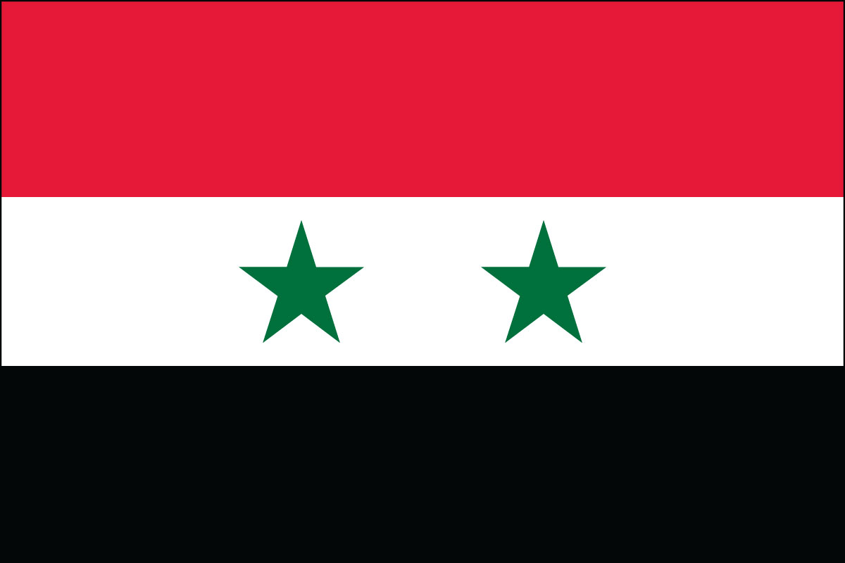 12x18" poly flag on a stick of Syria