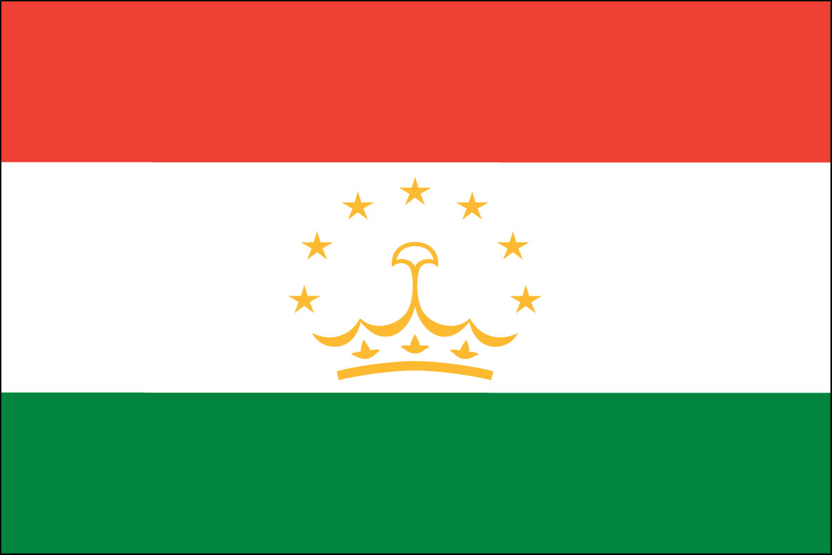 12x18" poly flag on a stick of Tajikistan