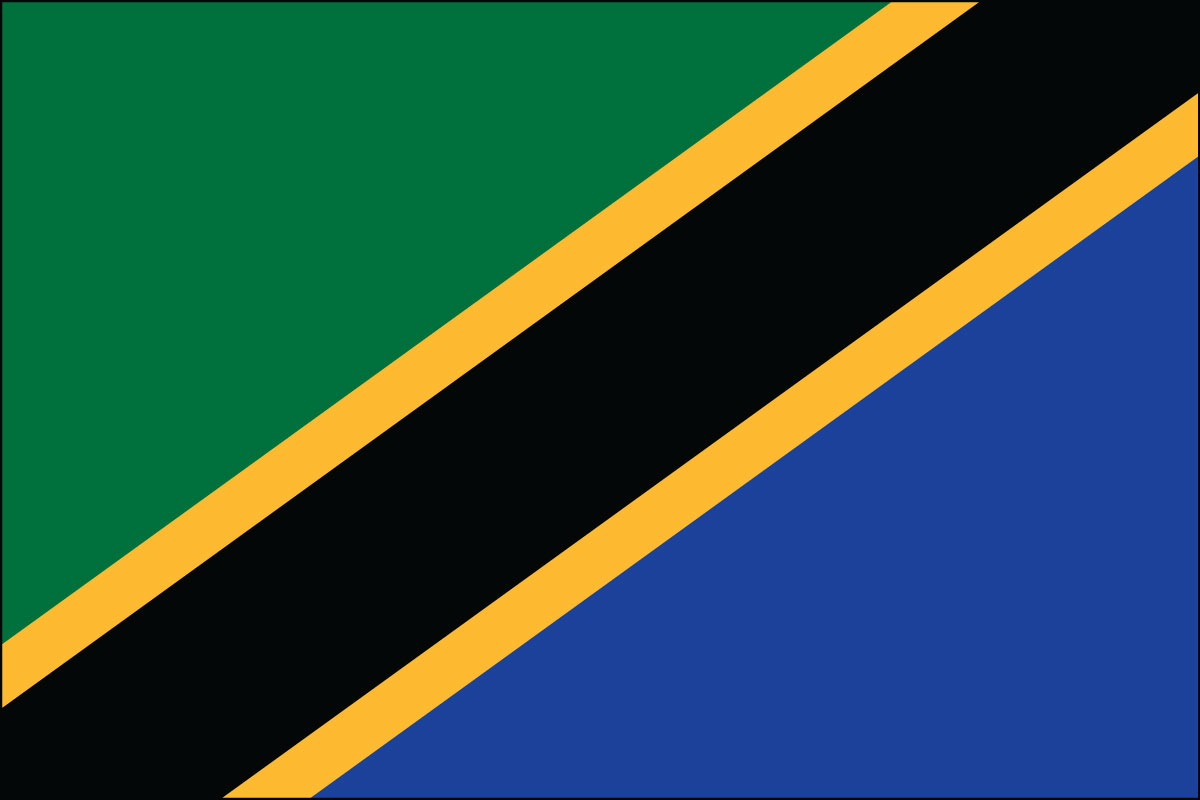 12x18" poly flag on a stick of Tanzania