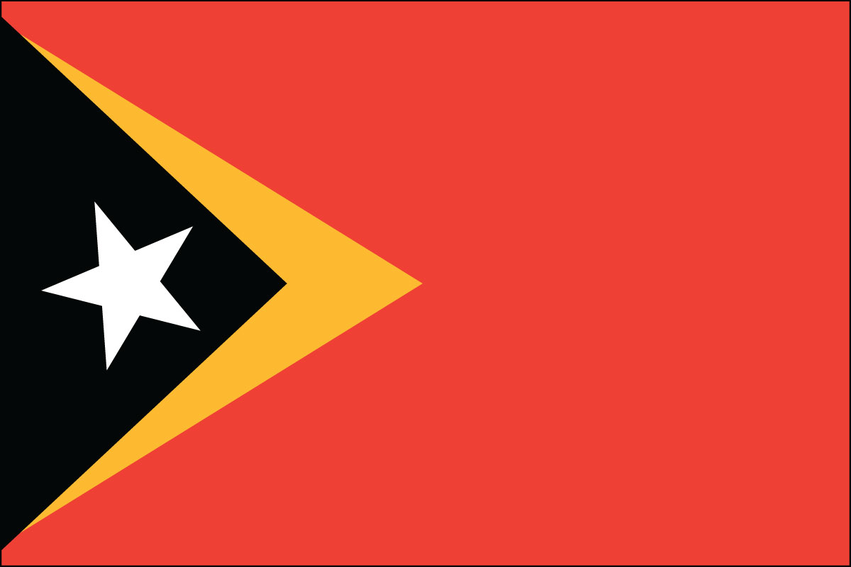 12x18" poly flag on a stick of Timor-Leste (East Timor)