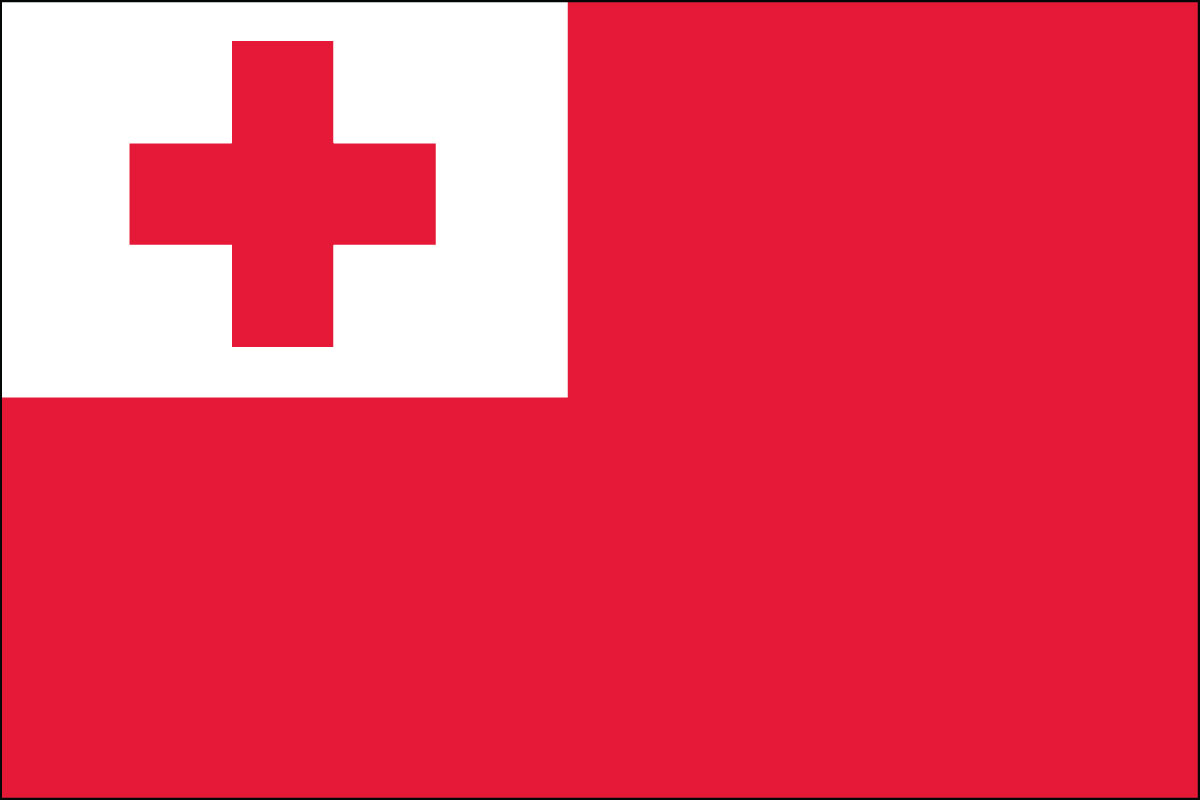 12x18" poly flag on a stick of Tonga