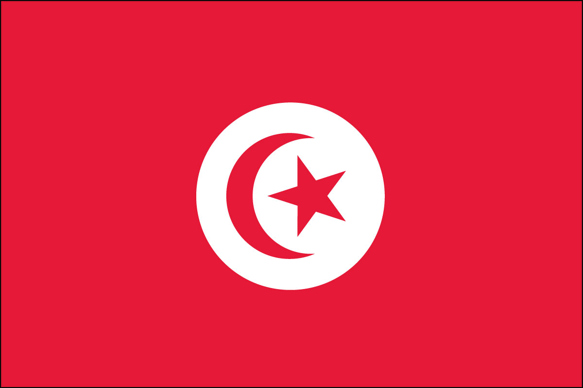 12x18" poly flag on a stick of Tunisia