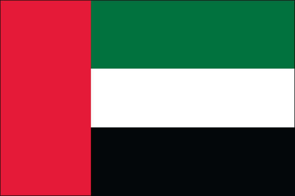 12x18" poly flag on a stick of United Arab Emirates