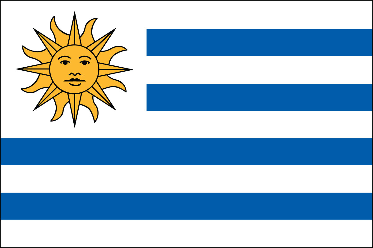 12x18" poly flag on a stick of Uruguay