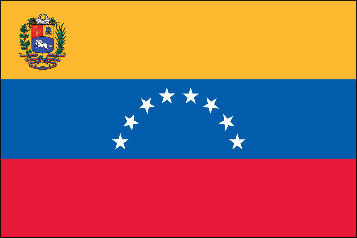 12x18" poly flag on a stick of Venezuela