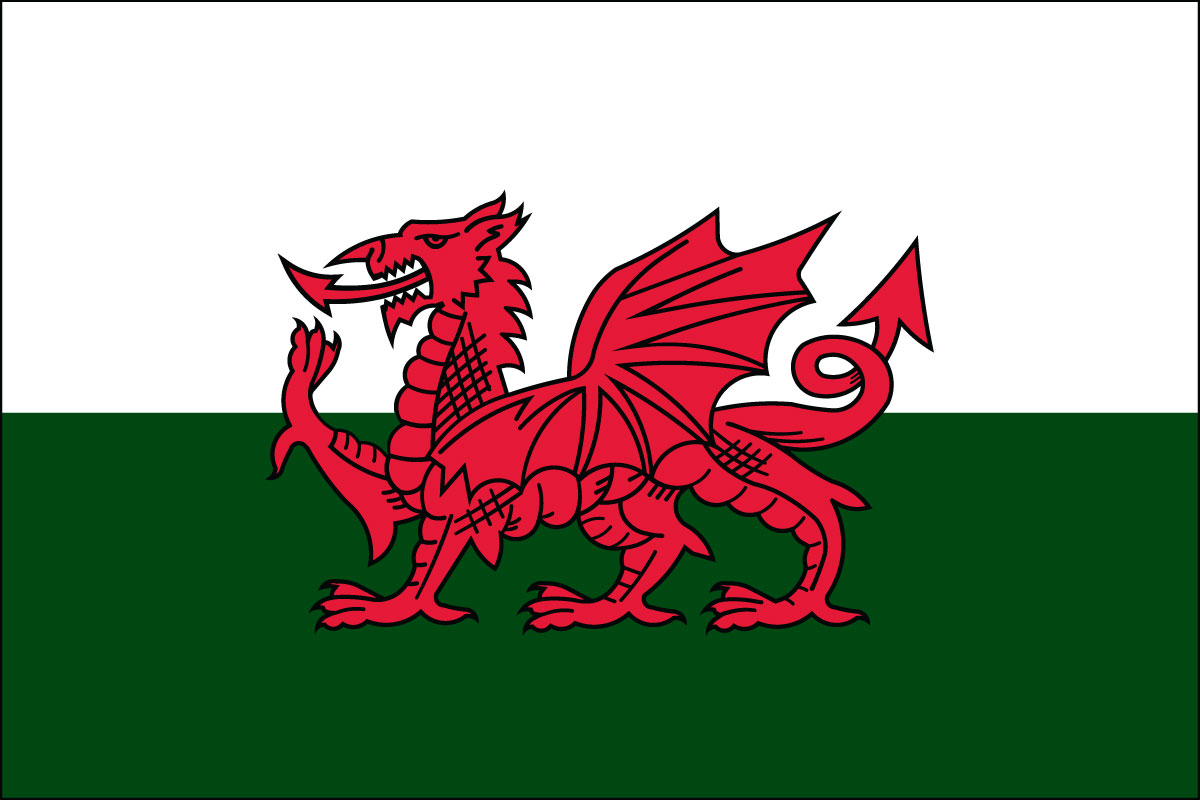 12x18" poly flag on a stick of Wales