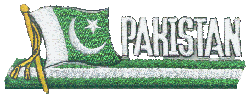 Cut-Out Flag Patch of Pakistan