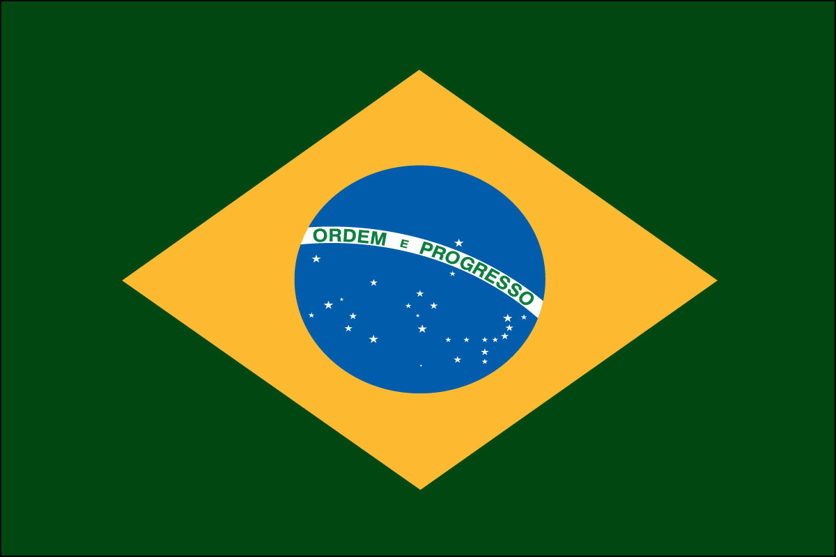 12x18" poly flag on a stick of Brazil - 12x18" polyester flag of Brazil.<BR>Combines with our other 12x18" polyester flags for discounts.